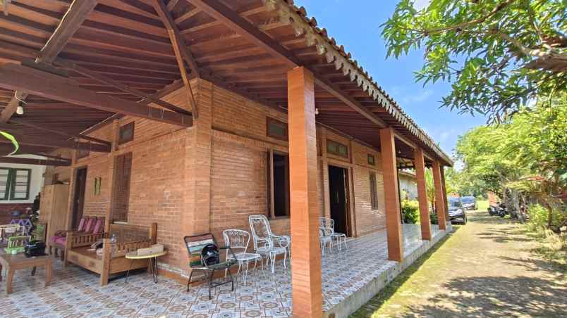 rumah etnik joglo murah