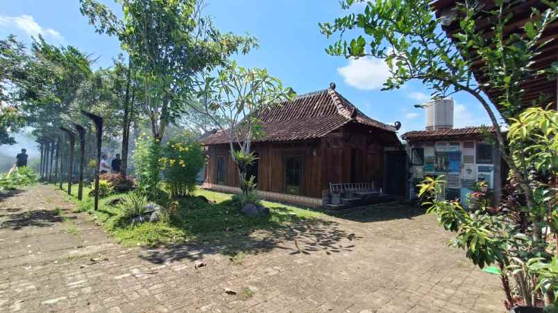 rumah etnik joglo murah