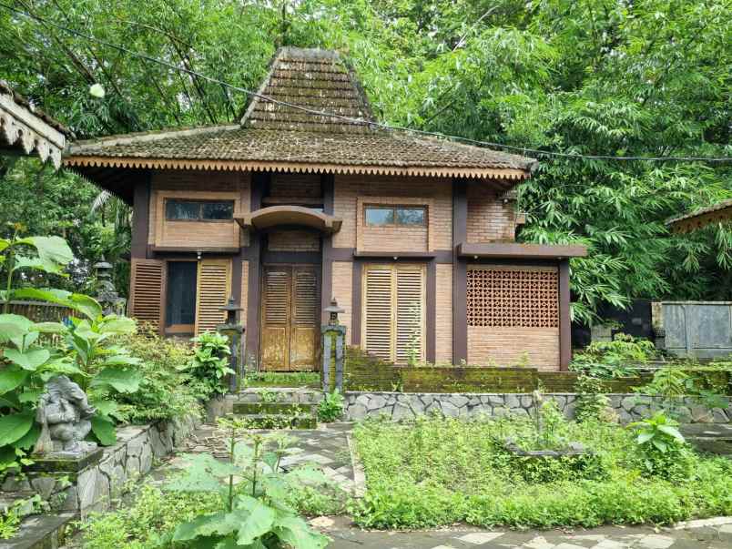 rumah joglo dijual rugi harga lelang di minggir