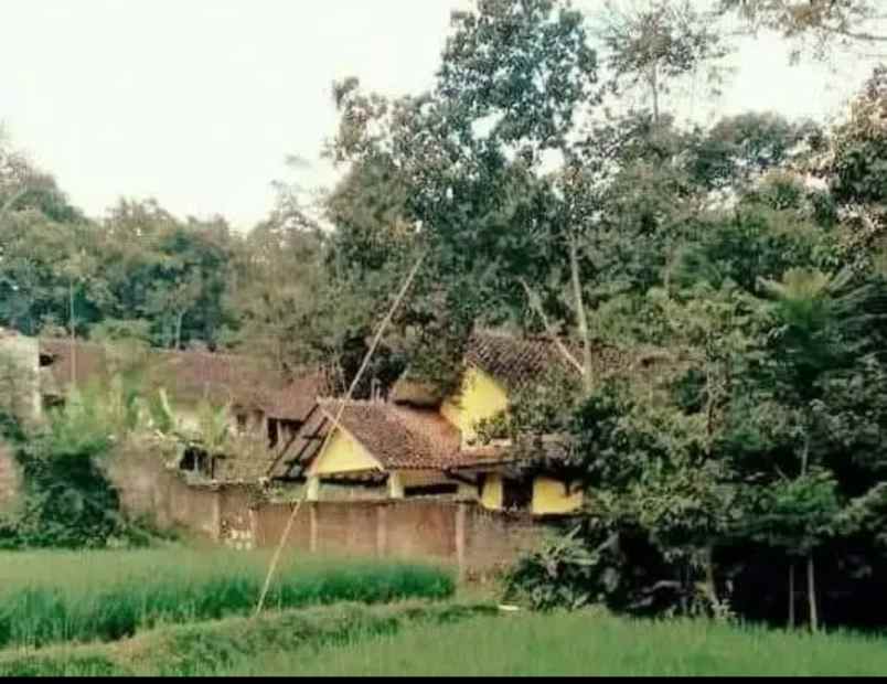 rumah multifungsi tanah luas