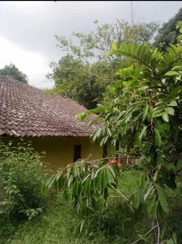 rumah multifungsi tanah luas