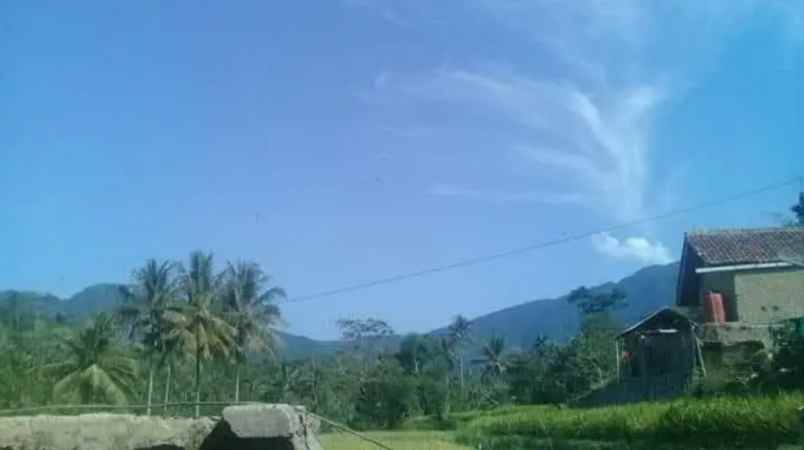 rumah multifungsi tanah luas