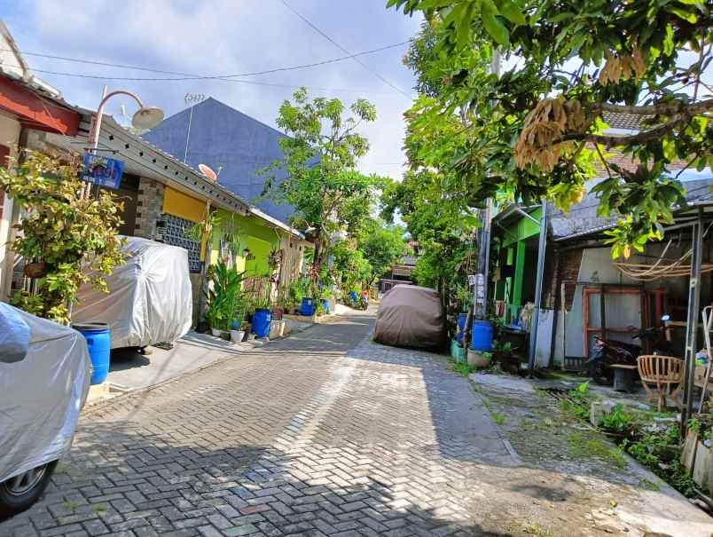 rumah nyaman dan tenang kilpang sendangmulyo tembalang