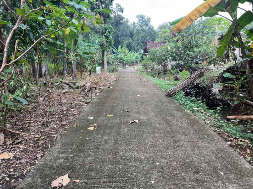 super datar pekarangan 388m kedawung sragen