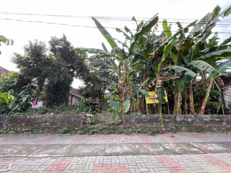 tanah 100 meter jl pandanaran dekat kampus uii