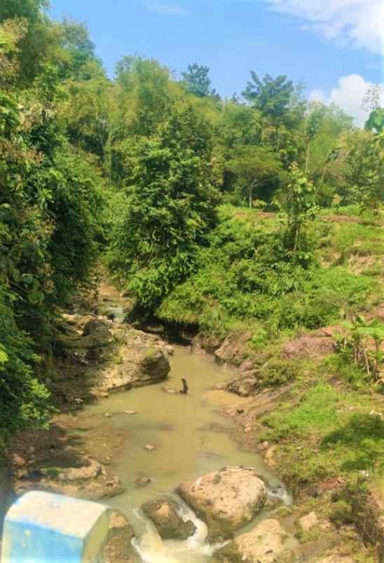 tanah 17 hektar mojogedang karanganyar