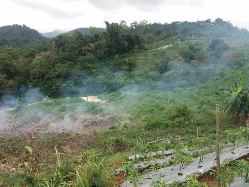 tanah 2 hektar tawangmangu karanganyar