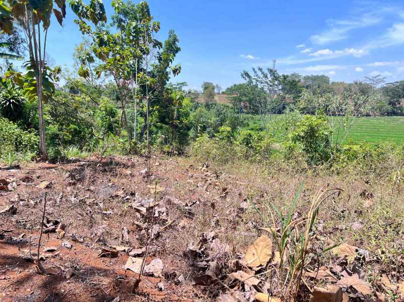 tanah 250 juta view sawah dan gunung lawu karanganyar