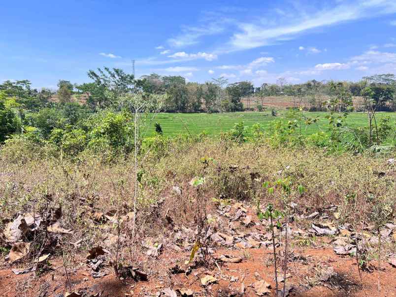 tanah 250 juta view sawah dan gunung lawu karanganyar