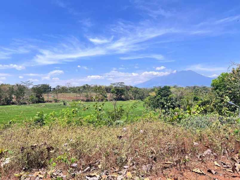 tanah 250 juta view sawah dan gunung lawu karanganyar