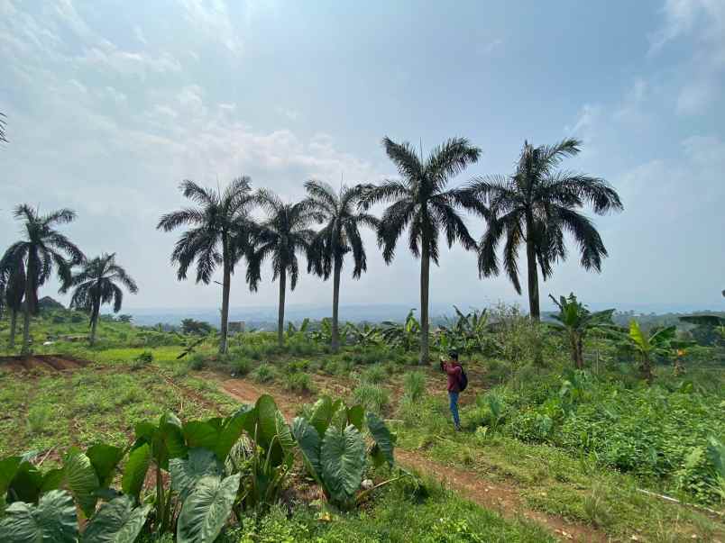 tanah best view di kawasan tajur halang cijeruk bogor