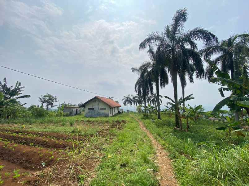 tanah best view di kawasan tajur halang cijeruk bogor