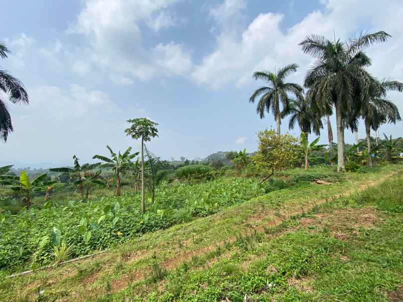 tanah best view di kawasan tajur halang cijeruk bogor