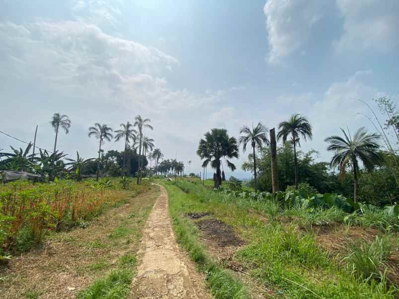 tanah best view di kawasan tajur halang cijeruk bogor