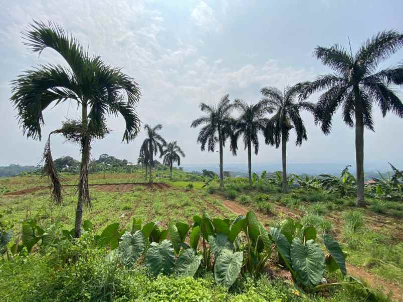 tanah best view di kawasan tajur halang cijeruk bogor