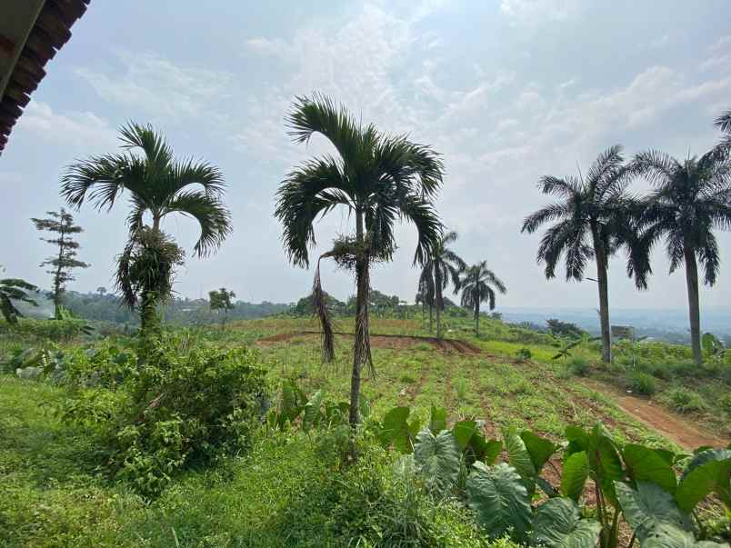 tanah best view di kawasan tajur halang cijeruk bogor