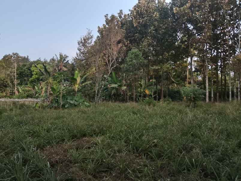 tanah daerah wisata sekitar ciater subang