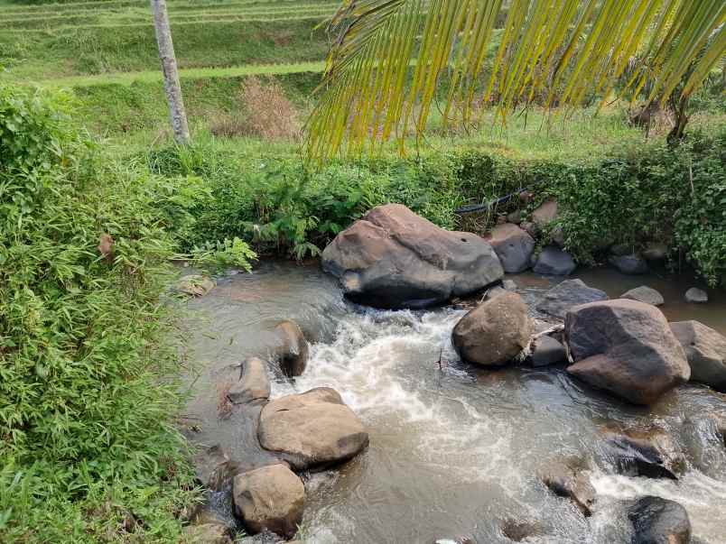 tanah dekat sungai view sawah subang jawa barat