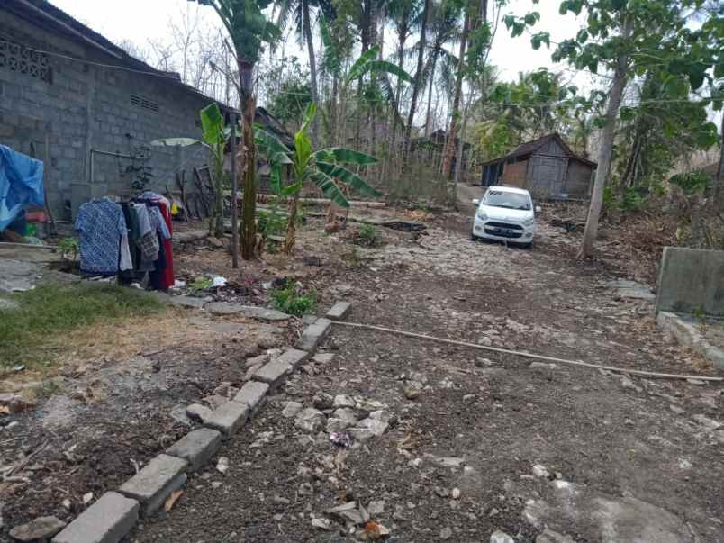 tanah depan sd asem cilik tuksono sentolo kulonprogo