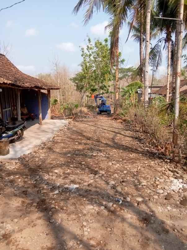 tanah depan sd asem cilik tuksono sentolo kulonprogo