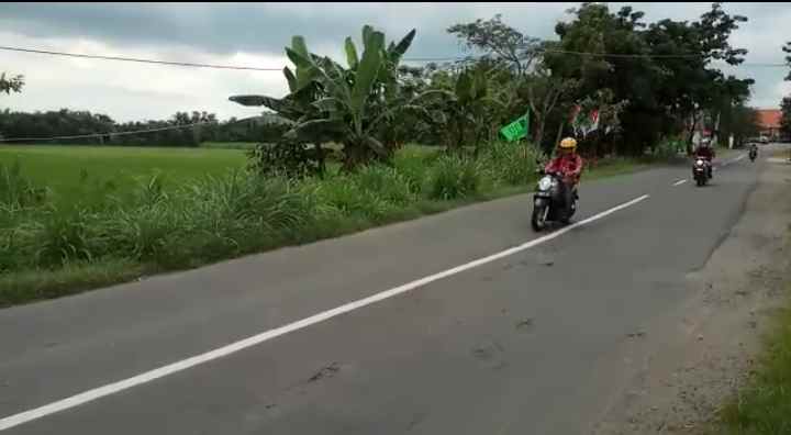 tanah desa kedungwangi sambeng