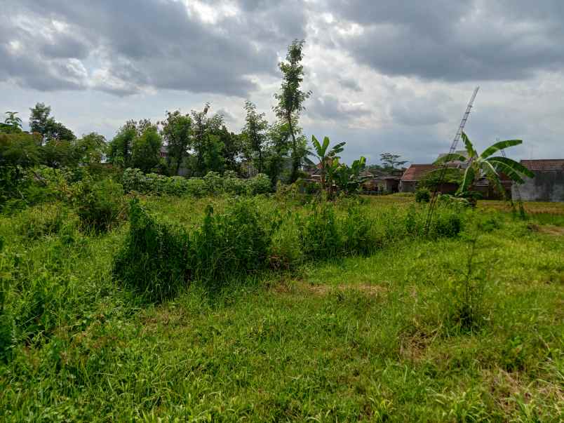 tanah dijual di wendit mangliawan malang