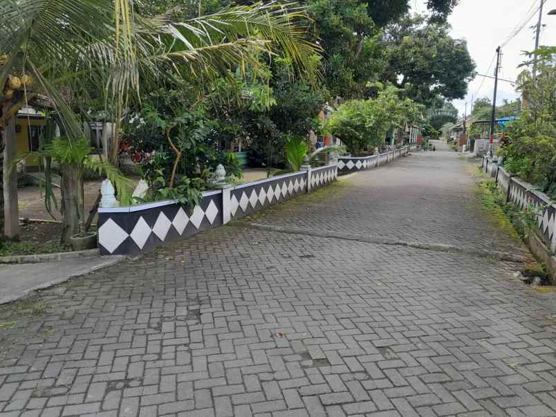 tanah jalan gito gati murah tanah bonus rumah sleman