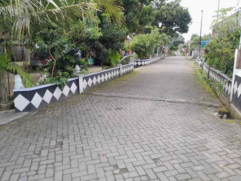 tanah jalan gito gati murah tanah bonus rumah sleman