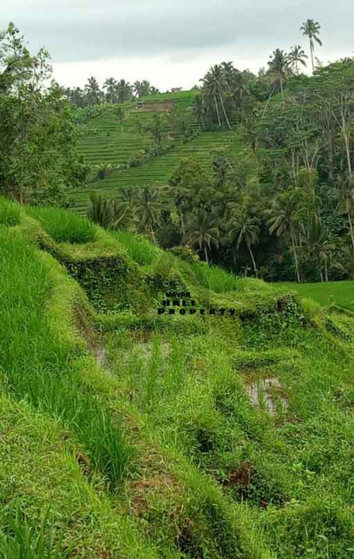 tanah jl asah pitra