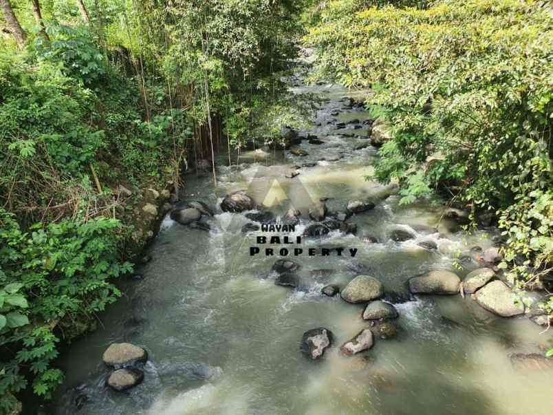 tanah jl asah pitra