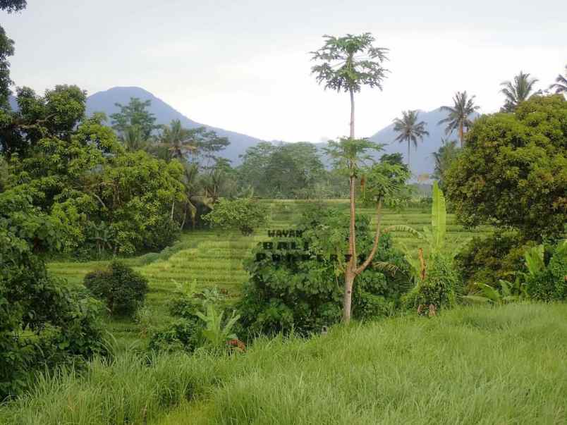 tanah jl asah pitra