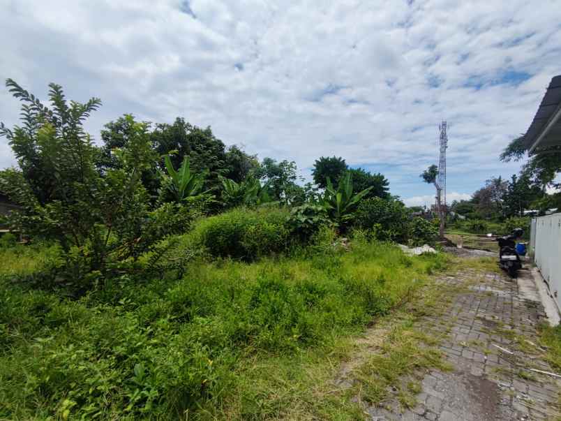 tanah jongke dijual dalam cluster