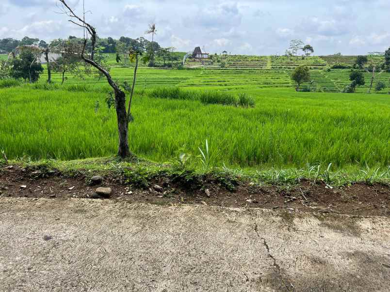 tanah karangpandan 1670m datar subur karanganyar