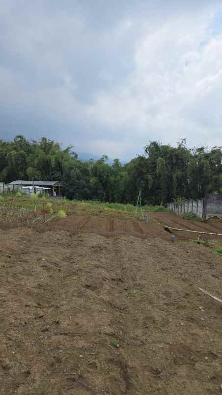 tanah kavling luas murah poros jalan junggo kota batu