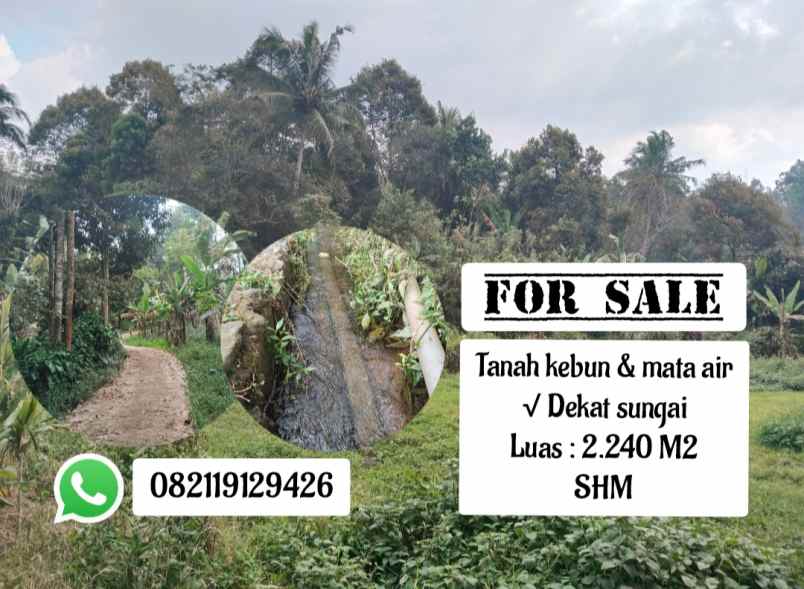 tanah kebun mata air jalan cagak subang