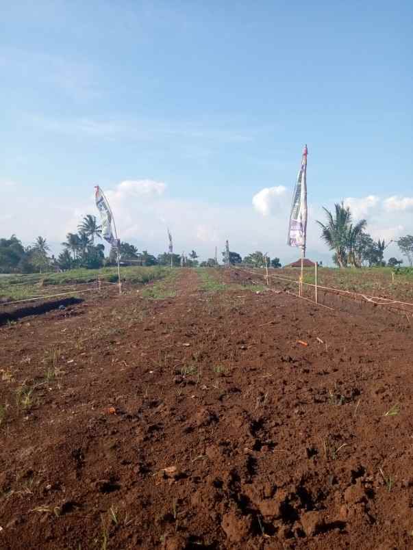 tanah matang strategis bisa cicil ke developer