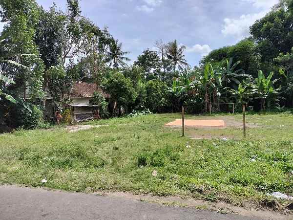 tanah murah cocok untuk kavlingan di margoagung sleman