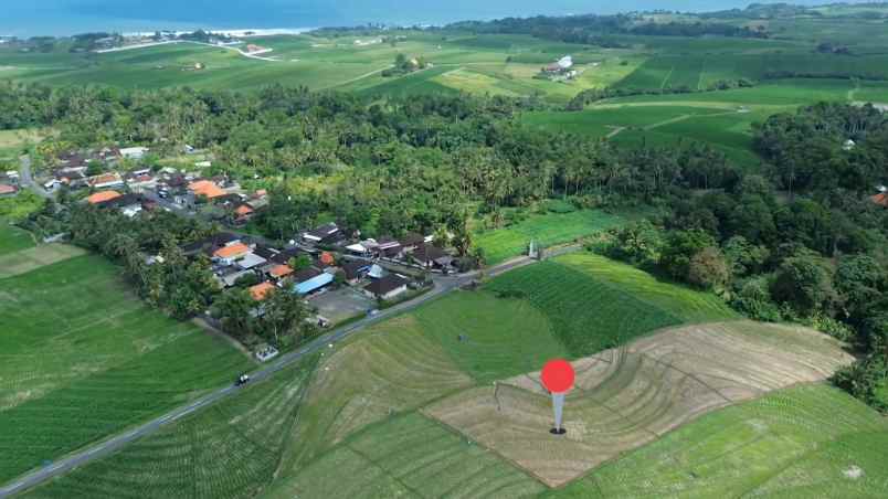 tanah sawah zona pink pariwisata di tabanan bali