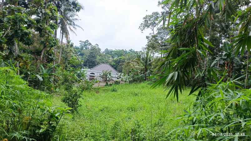 tanah siap bangun luas 600m shm kedaung kemiling