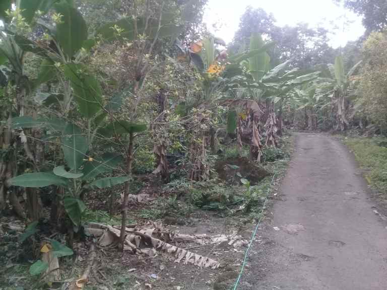 tanah sindangwangi majalengka jabar