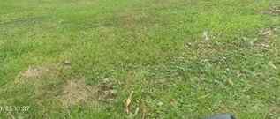 tanah teluk golf citraland lebar 20 surabaya barat