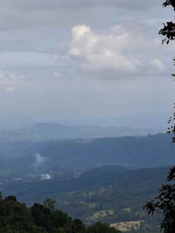 tanah view sawah dan gunung di munduk singaraja bali