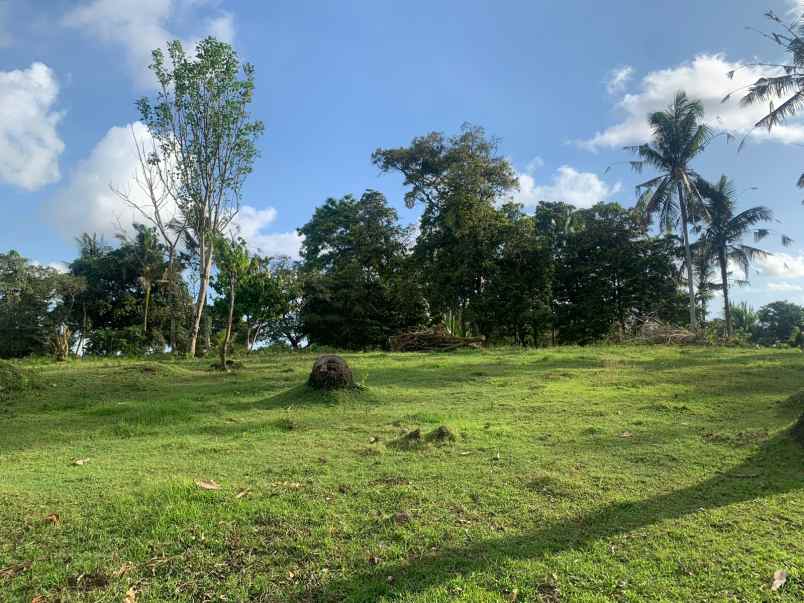 tanah view sungai dekat pantai balian bali