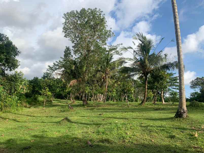 tanah view sungai dekat pantai balian bali