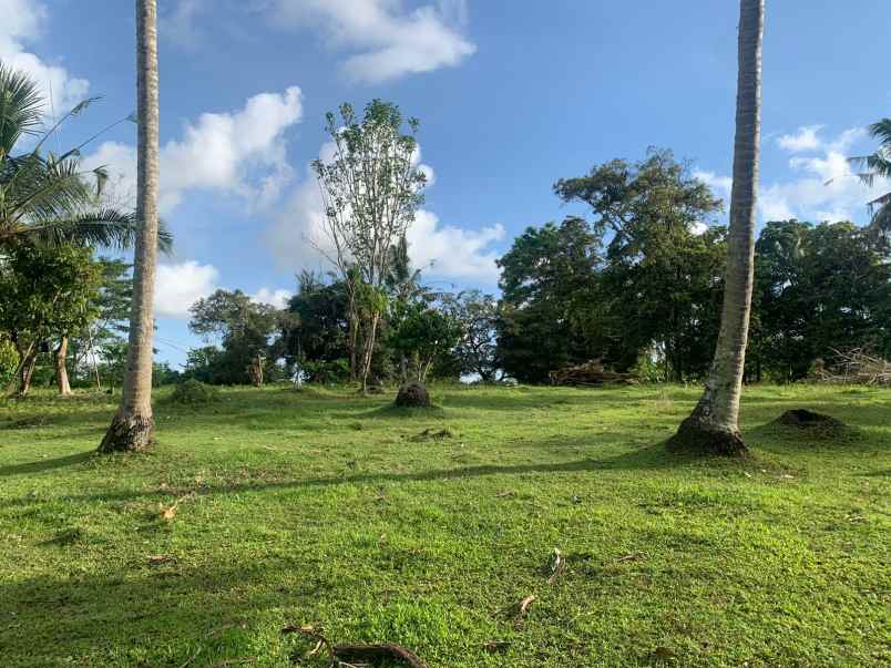 tanah view sungai dekat pantai balian bali