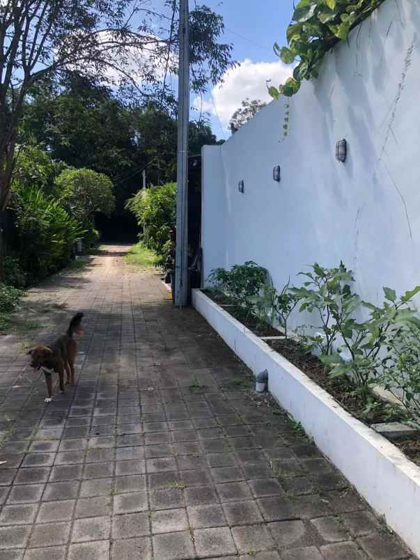 buc tanah lingk villa di kesiman dekat sanur