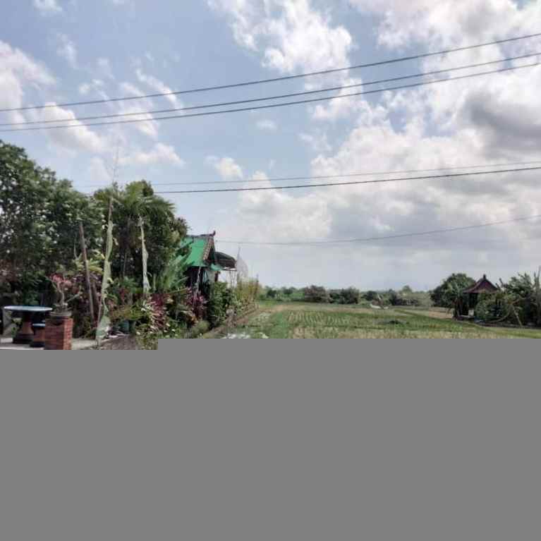 dijual 17 are jl raya tanah lot beraban kediri tabanan