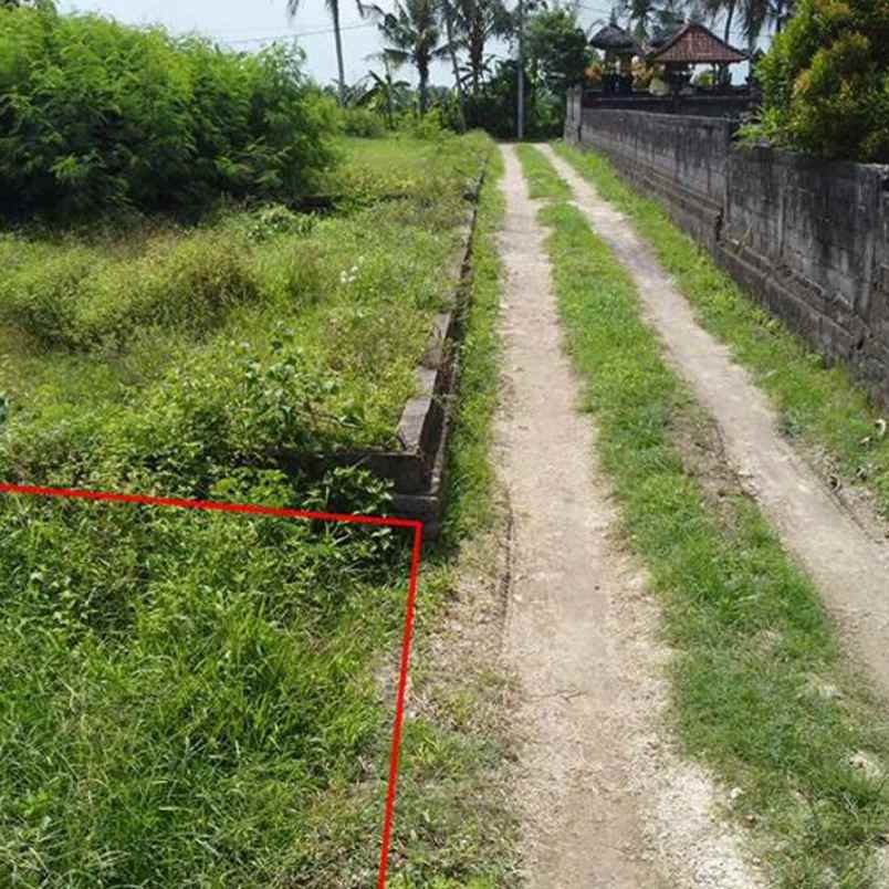 dijual 2 are jl mulioto buwit kediri tabanan