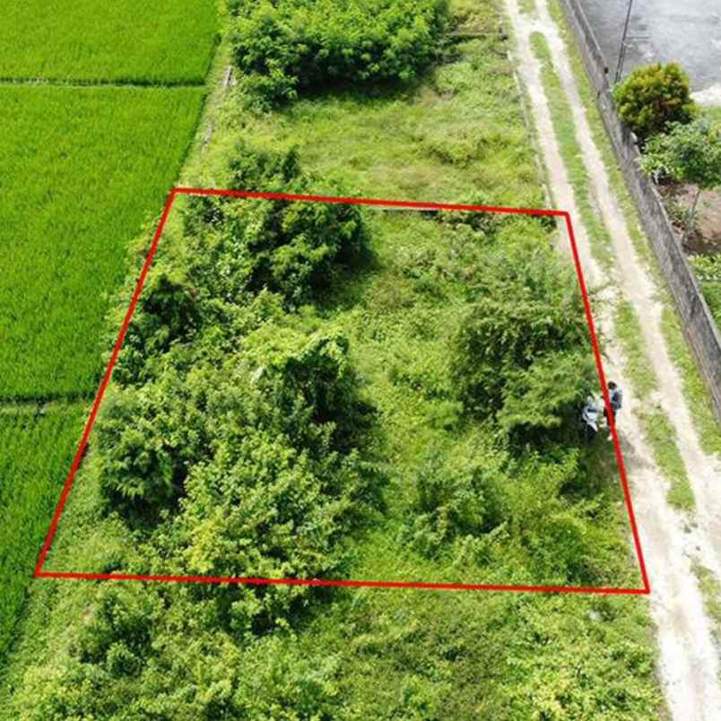 dijual 2 are jl mulioto buwit kediri tabanan
