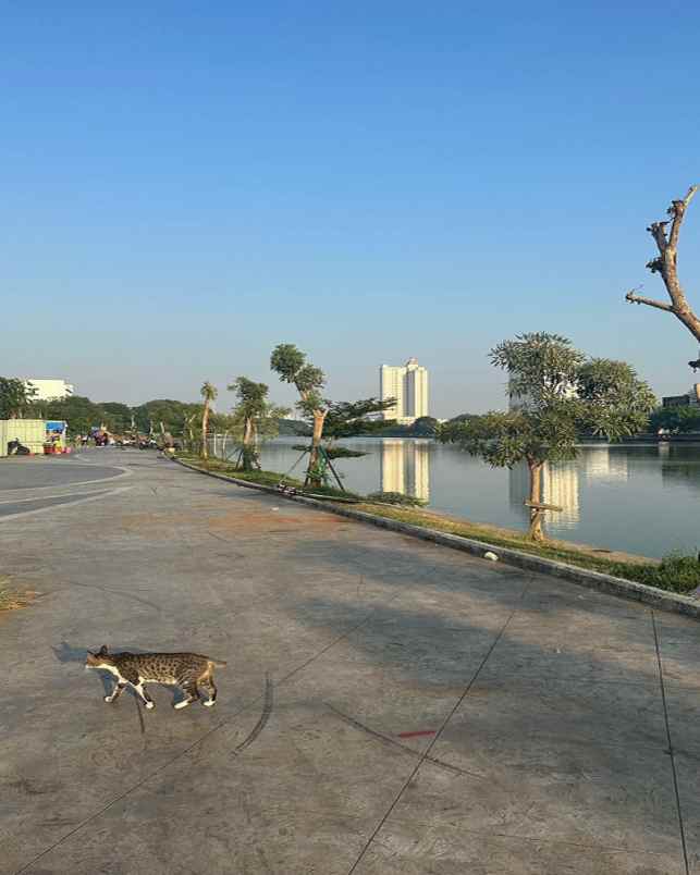 dijual apartemen jl danau sunter selatan no